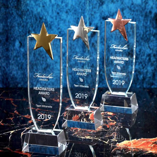 ICT 820 - Exclusive Crystal Trophy